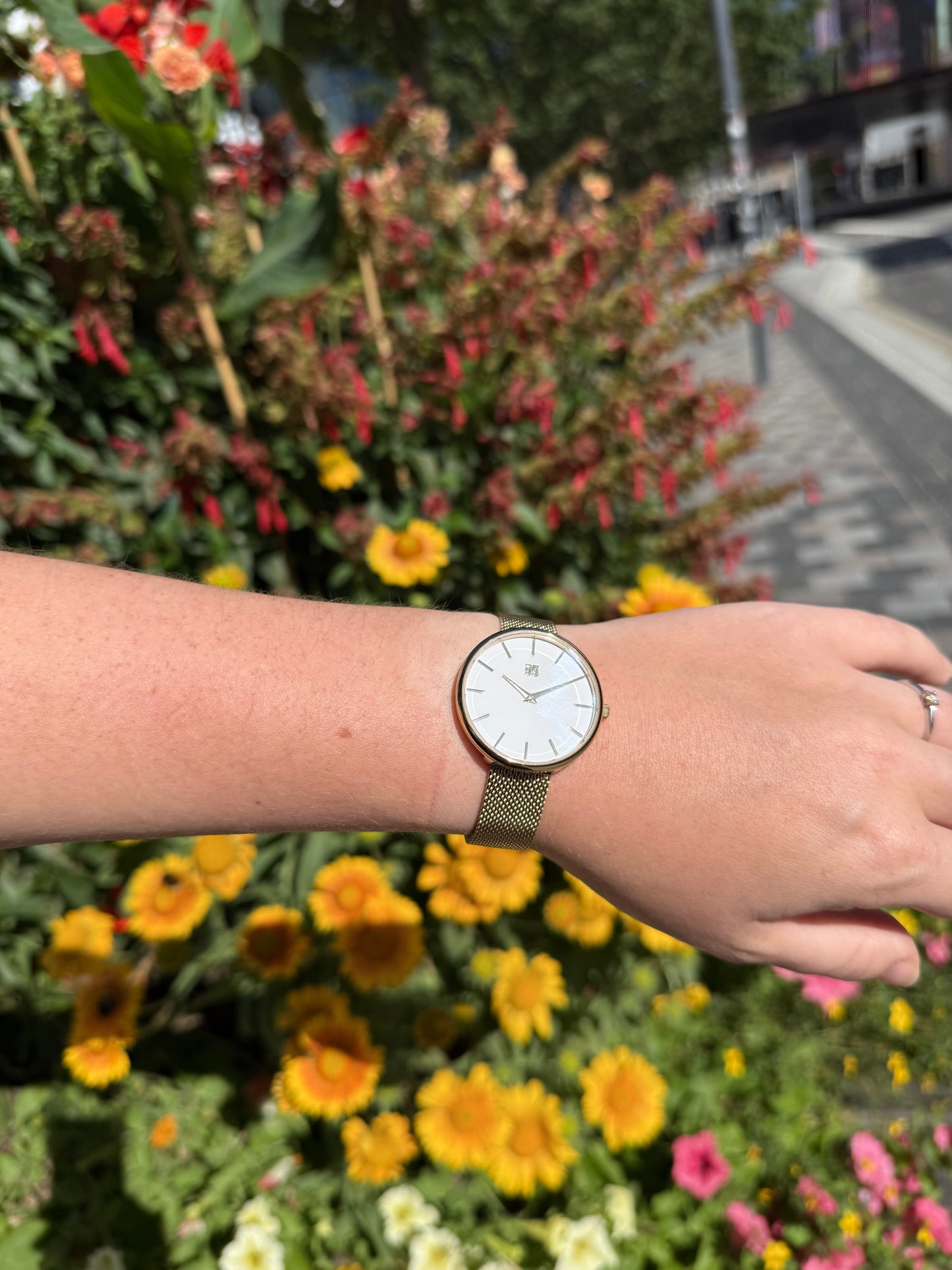 Aldan Gold White