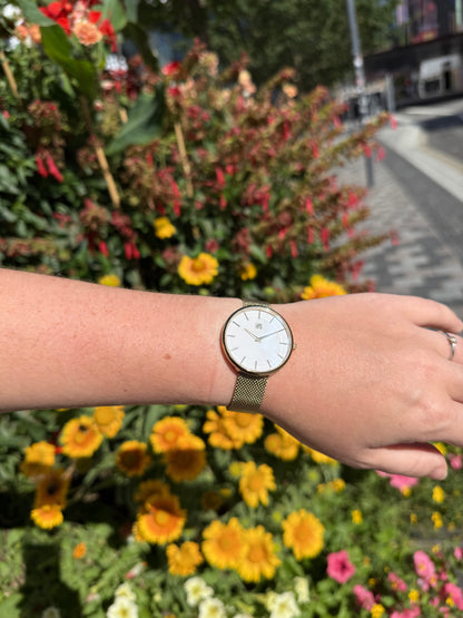 Aldan Gold White